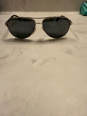 Ray-Ban Silver Frame Sunglasses with Dark Green Lenses